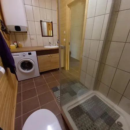 Runenu Zalu Namins Vidzeme